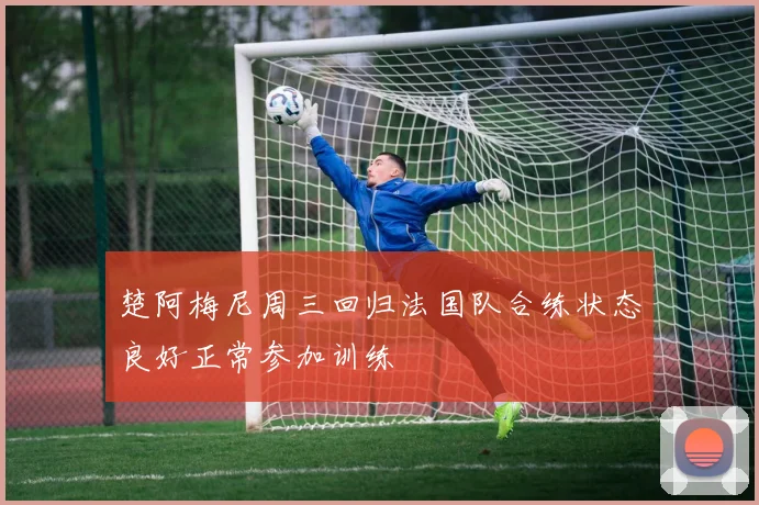 楚阿梅尼周三回归法国队合练状态良好正常参加训练